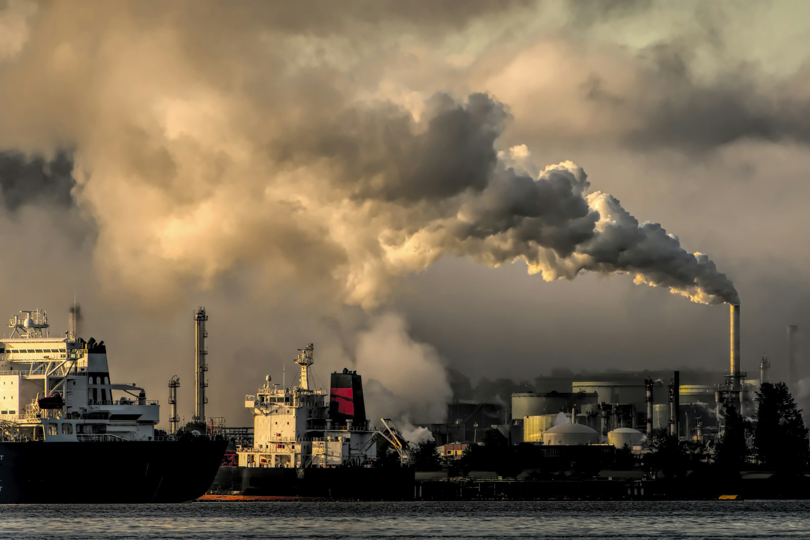 Emissions & Carbon